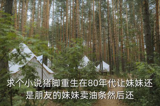 求個小說豬腳重生在80年代讓妹妹還是朋友的妹妹賣油條然后還