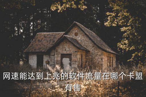 網速能達到上兆的軟件流量在哪個卡盟有售