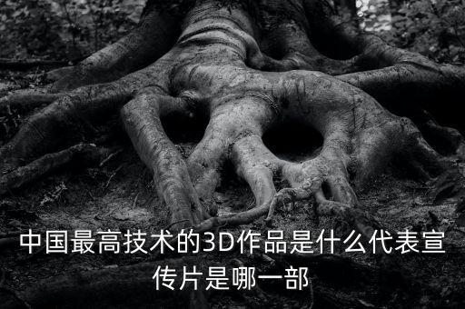 中國(guó)高科技視頻宣傳片，中國(guó)最高技術(shù)的3D作品是什么代表宣傳片是哪一部