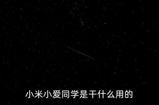 小米小愛同學(xué)是干什么用的