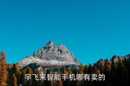 宇飛來(lái)智能手機(jī)哪有賣的