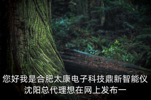 您好我是合肥太康電子科技鼎新智能儀沈陽總代理想在網(wǎng)上發(fā)布一