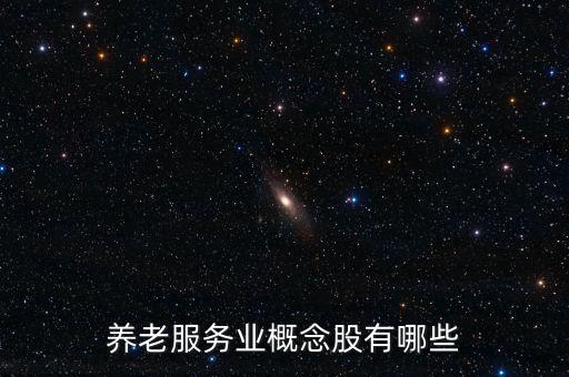 養(yǎng)老服務(wù)業(yè)概念股有哪些