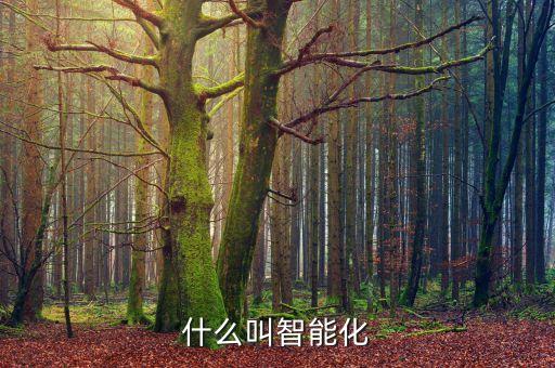 什么叫智能化