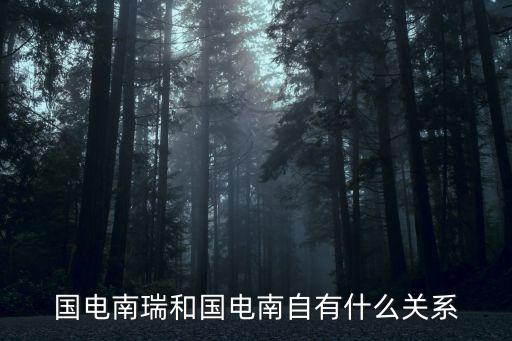 中國(guó)自動(dòng)化集團(tuán)是上市公司嗎，鞍山的中新自動(dòng)化公司怎么樣照比其他的高新區(qū)同行公司怎么樣