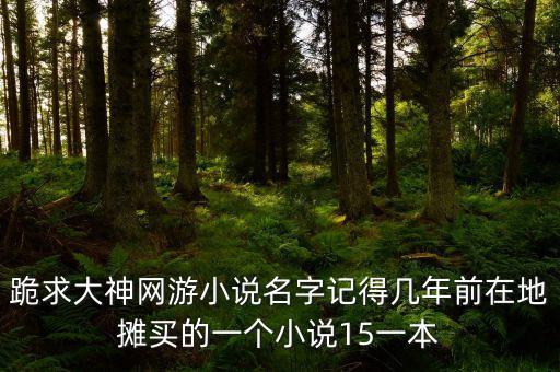 跪求大神網游小說名字記得幾年前在地攤買的一個小說15一本