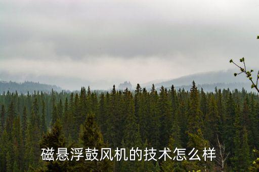磁懸浮鼓風(fēng)機(jī)的技術(shù)怎么樣