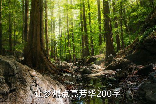 讓夢想點亮芳華200字