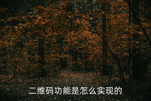 二維碼功能是怎么實現(xiàn)的