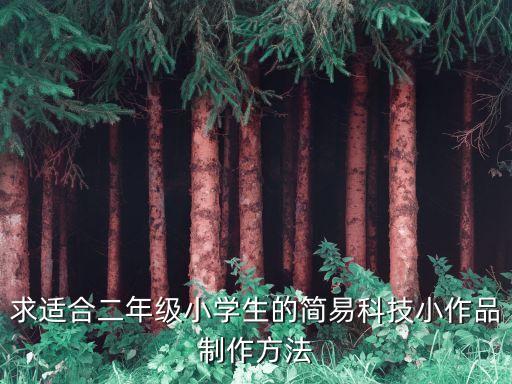 求適合二年級小學生的簡易科技小作品制作方法