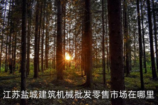 江蘇鹽城建筑機(jī)械批發(fā)零售市場在哪里