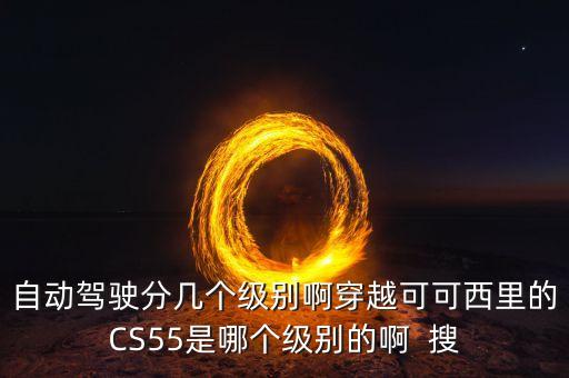 智能駕駛 等級，自動駕駛分幾個級別啊穿越可可西里的CS55是哪個級別的啊  搜