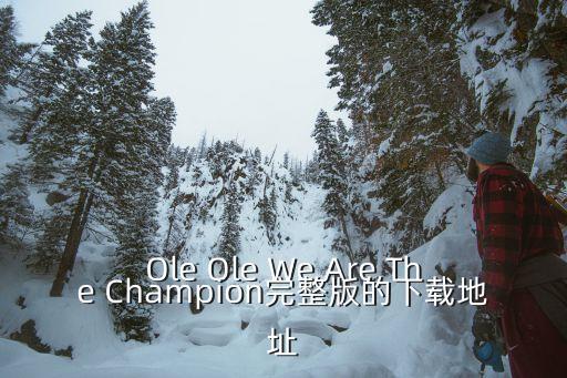 我們的瘋狂年代 下載，屆 這首歌的下載地址