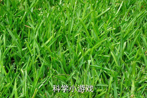科學(xué)小游戲