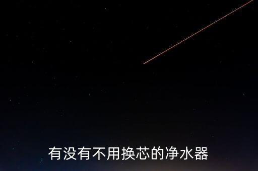 有沒有不用換芯的凈水器