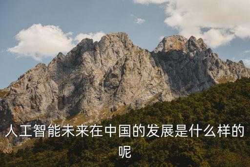 人工智能未來在中國的發(fā)展是什么樣的呢