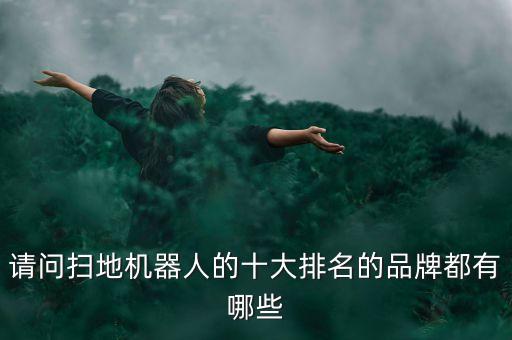請問掃地機器人的十大排名的品牌都有哪些