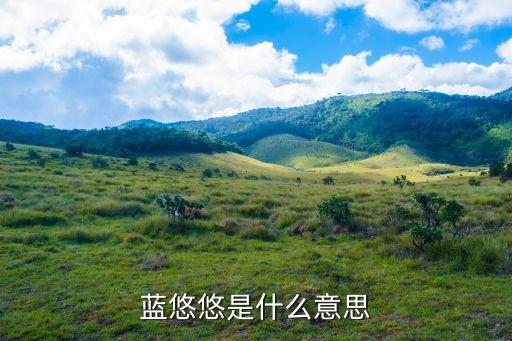 藍(lán)悠悠是什么意思