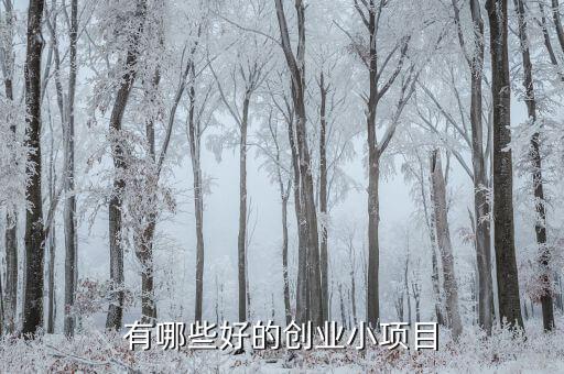 有哪些好的創(chuàng)業(yè)小項目