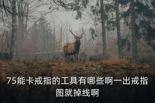 75能卡戒指的工具有哪些啊一出戒指圖就掉線啊