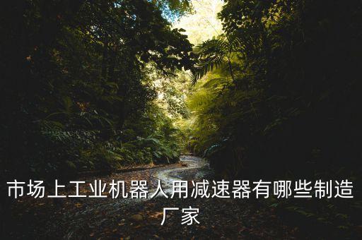 市場上工業(yè)機(jī)器人用減速器有哪些制造廠家