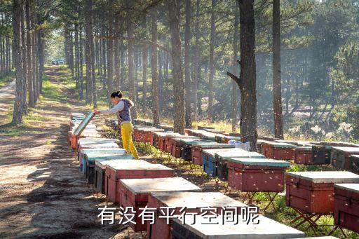 賽凡科幻空間眾籌鏈接，有沒有平行空間呢