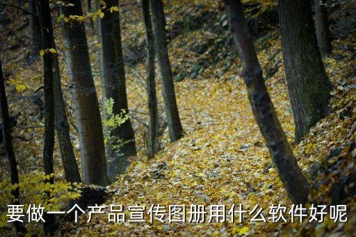 要做一個(gè)產(chǎn)品宣傳圖冊(cè)用什么軟件好呢