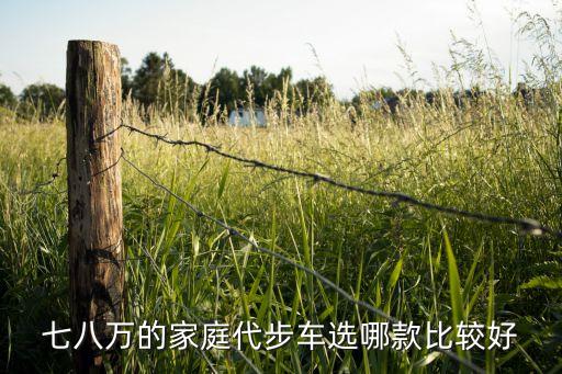 七八萬(wàn)的家庭代步車選哪款比較好
