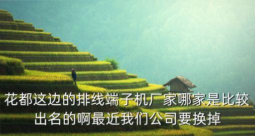 廣州艾可自動化設(shè)備有限公司，花都這邊的排線端子機廠家哪家是比較出名的啊最近我們公司要換掉