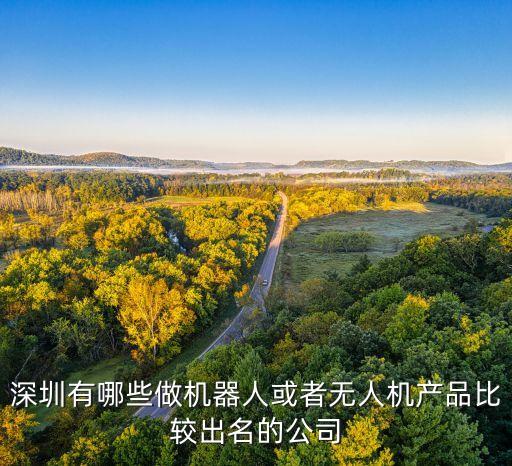 深圳有哪些做機器人或者無人機產(chǎn)品比較出名的公司