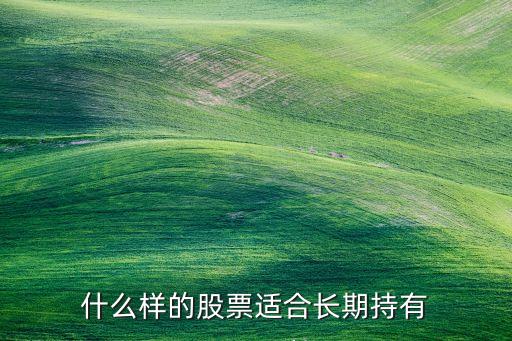 適合長期持有的股票，什么樣的股票適合長期持有