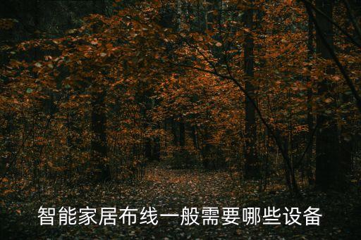 智能家居設(shè)備清單表，弱電設(shè)備清單2