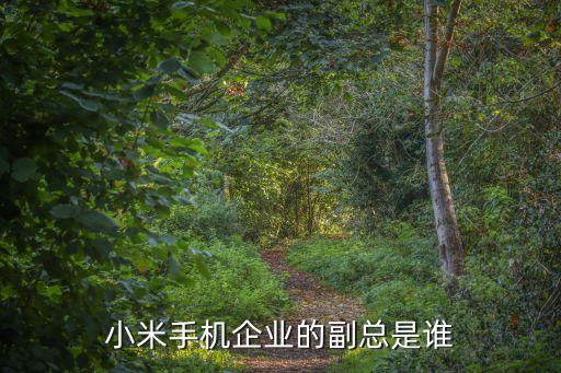 小米手機(jī)企業(yè)的副總是誰