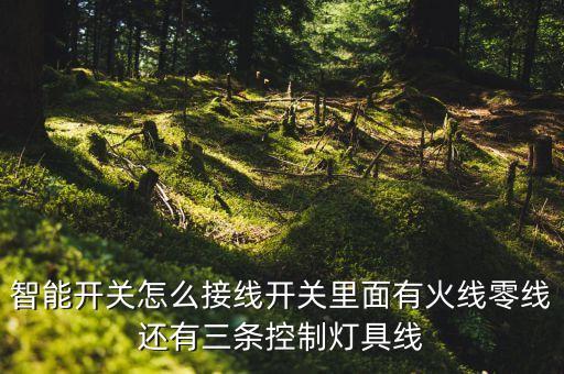 智能開關(guān)怎么接線開關(guān)里面有火線零線還有三條控制燈具線