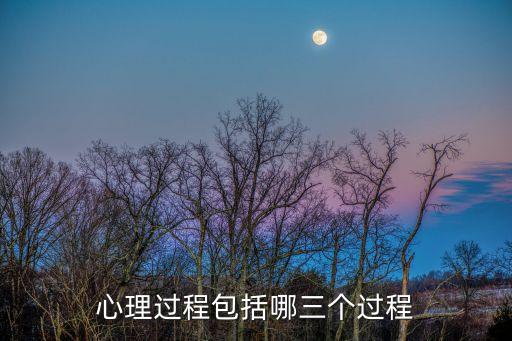 心理過程包括哪三個(gè)過程