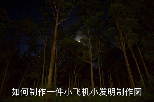 如何制作一件小飛機(jī)小發(fā)明制作圖