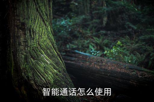 智能呼叫系統(tǒng)說明書，智能通話怎么使用