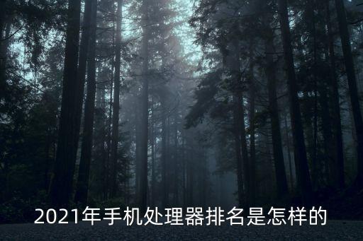 2021年手機處理器排名是怎樣的