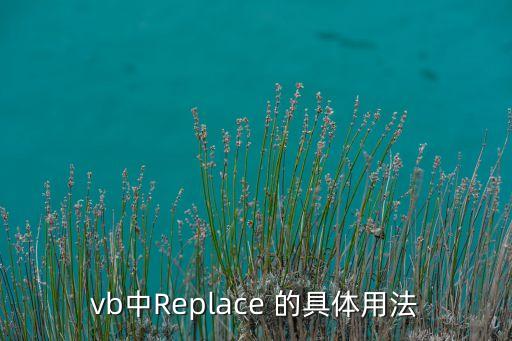 vb中Replace 的具體用法
