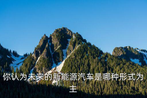 未來電動(dòng)新能源汽車是哪里生產(chǎn)，neo新蕾neo未來電動(dòng)車是哪里生產(chǎn)的啊