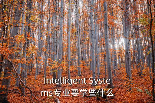 Intelligent Systems專業(yè)要學(xué)些什么