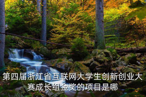 第四屆浙江省互聯(lián)網(wǎng)大學(xué)生創(chuàng)新創(chuàng)業(yè)大賽成長組金獎的項目是哪