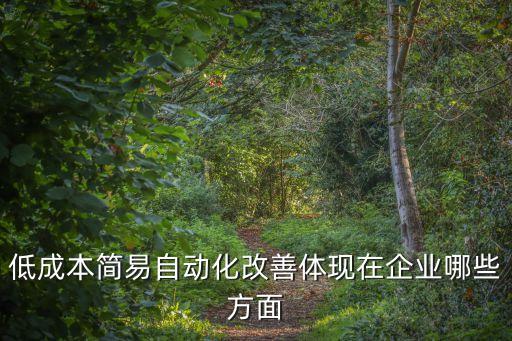 低成本簡易自動化改善體現(xiàn)在企業(yè)哪些方面