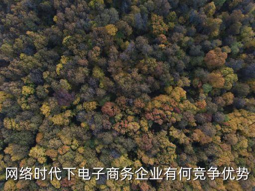 數(shù)字科技時(shí)代競(jìng)爭的特點(diǎn)，21世紀(jì)人類有哪些科技發(fā)明