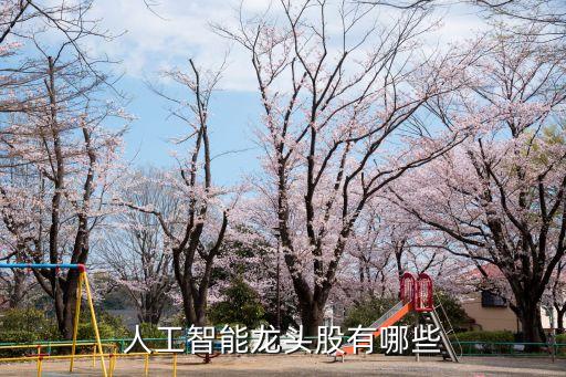 人工智能龍頭股有哪些