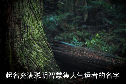 起名充滿聰明智慧集大氣運者的名字