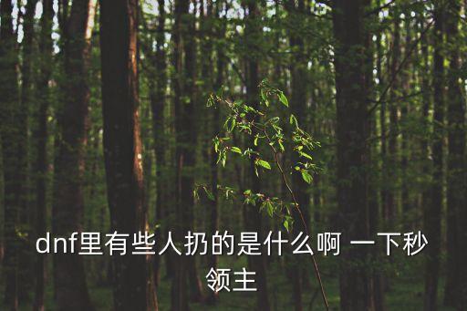 dnf里有些人扔的是什么啊 一下秒領(lǐng)主