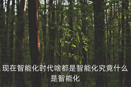 現(xiàn)代化科技化智能化，現(xiàn)在智能化時(shí)代啥都是智能化究竟什么是智能化