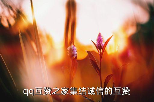 qq互贊之家集結(jié)誠信的互贊