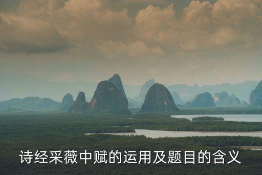 賦能的意思和造句，賦芧 造句 急急急